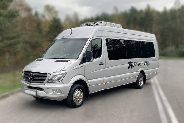 Minibus Mercedes Sprinter 519, EURO 6, year of production 2019